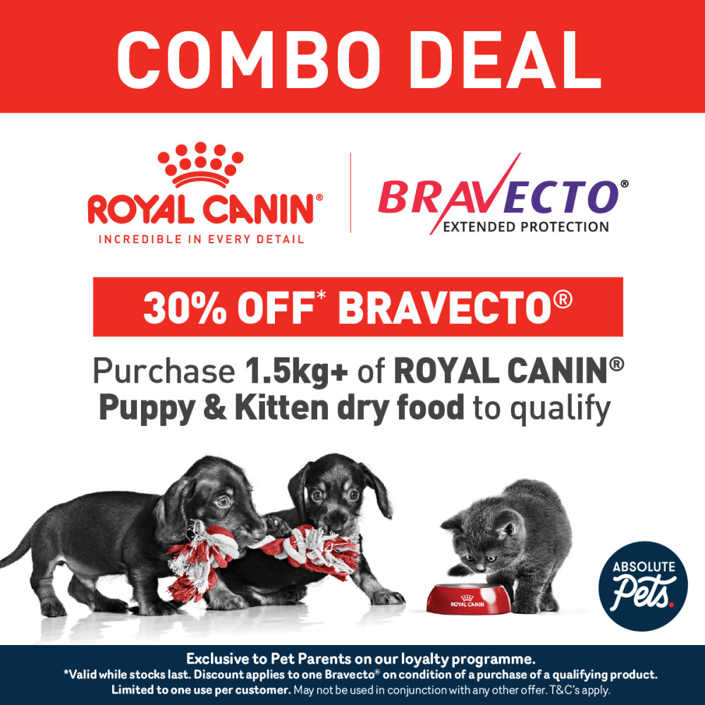 Absolute Pets | Royal Canin & Bravecto combo deal