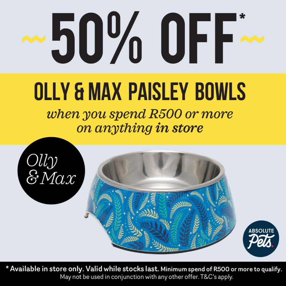 Absolute Pets | Olly & Max paisley bowl Promo