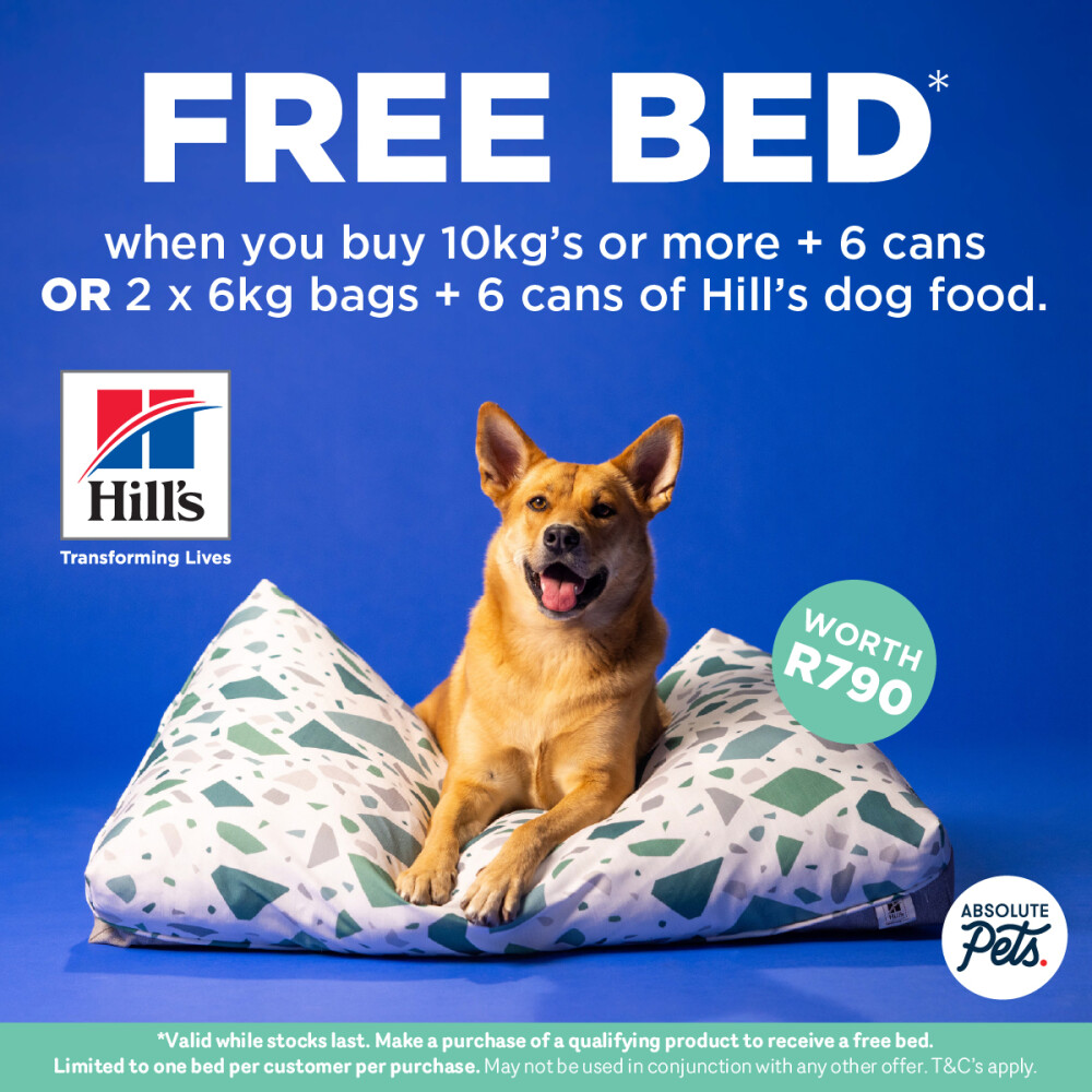 Absolute Pets | Hill’s FREE BED Promotion