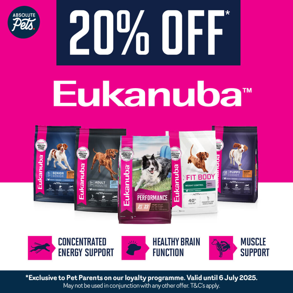 Absolut Pets | Power your dog's peak performance with Eukanuba™