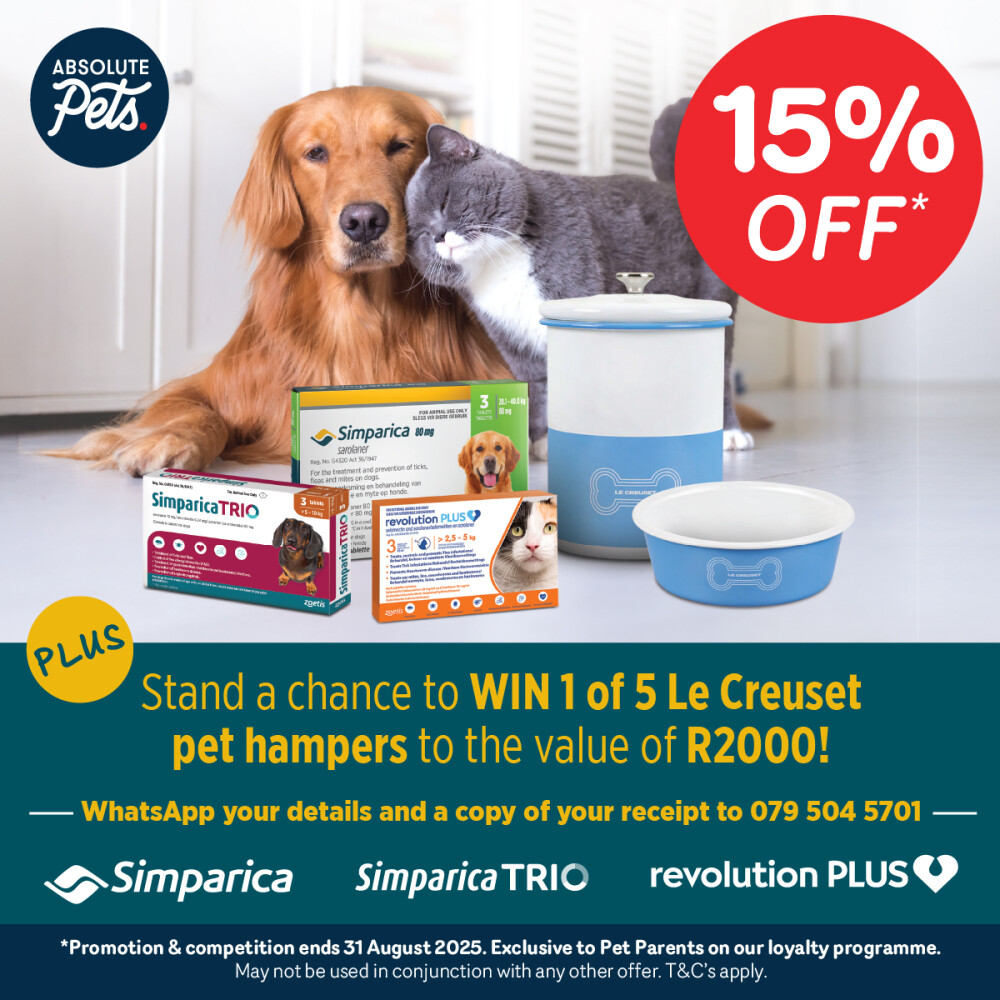 Absolute Pets | WIN BIG with Simparica & Revolution PLUS