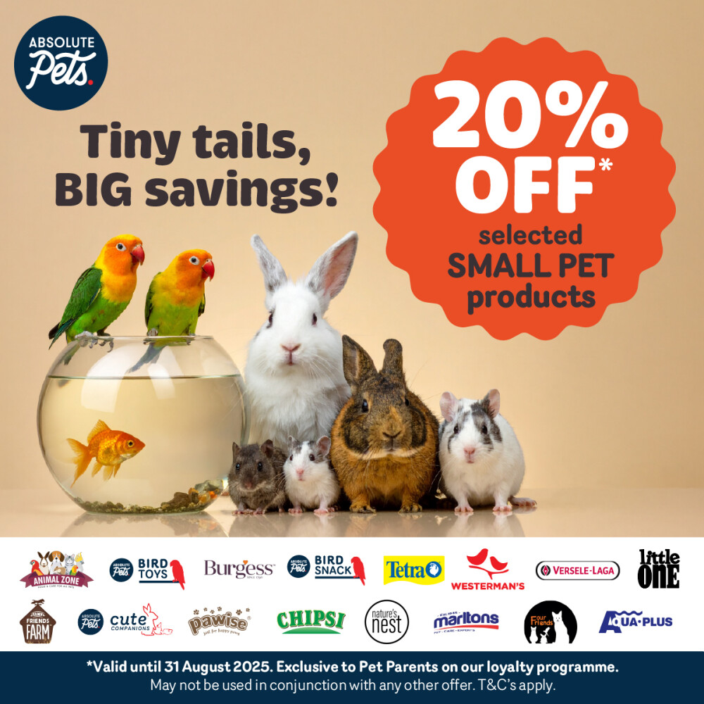 Absolute Pets | Tiny Tails, BIG Savings!