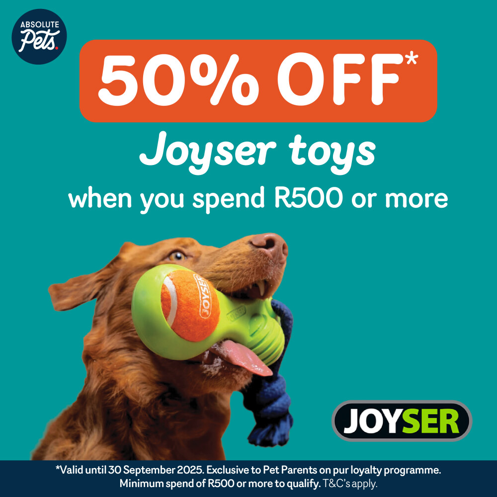 Absolute Pets | New Promotion