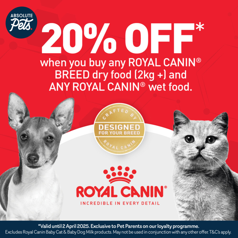 Royal Canin Promotion | Absolute Pets