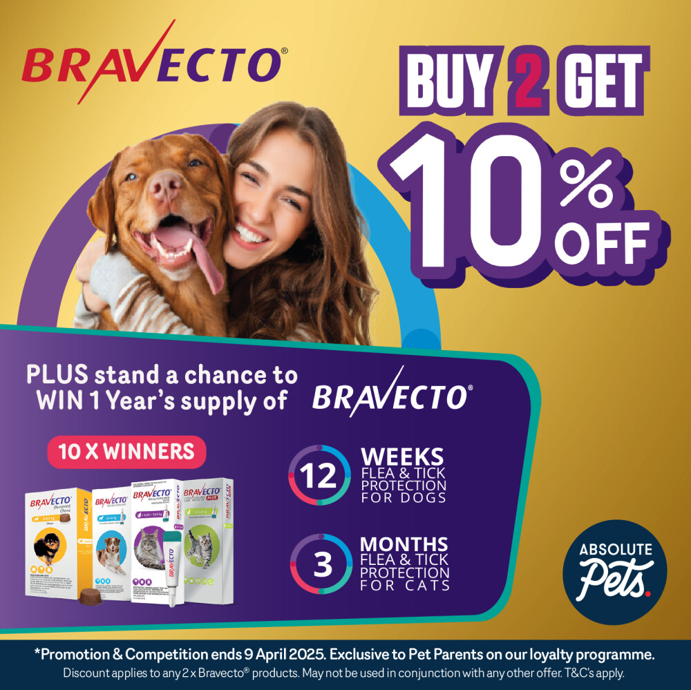 Bravecto Promotion | Absolute Pets