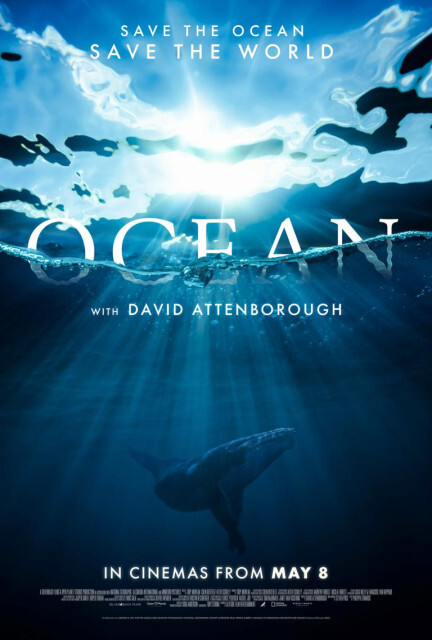 Nu Metro | OCEAN with David Attenborough