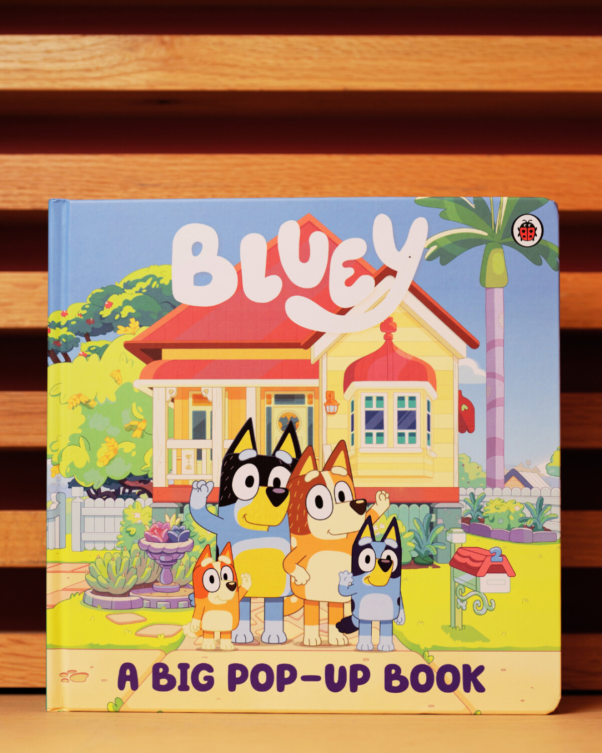 Exclusive Books | Bluey Promo