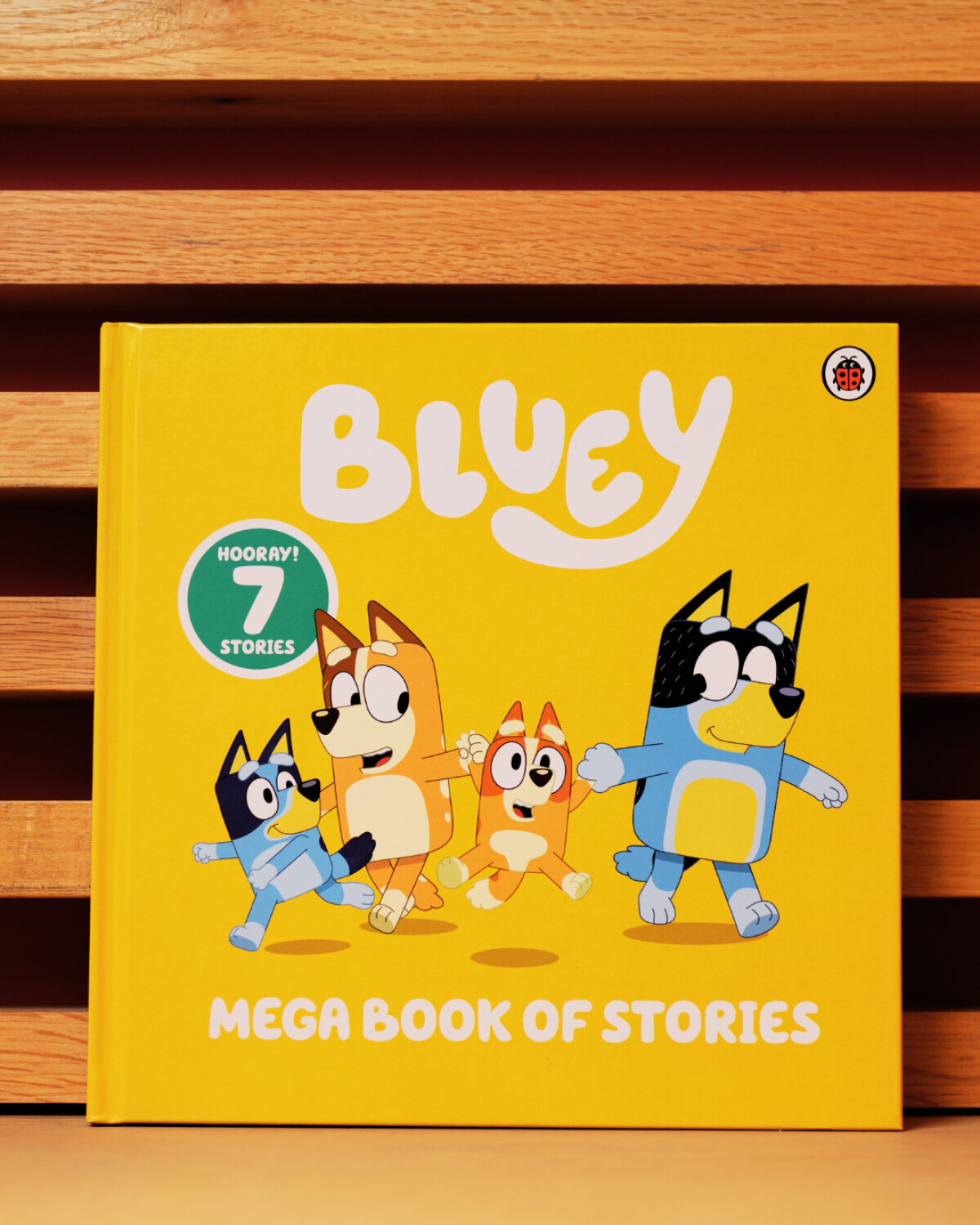 Exclusive Books | Bluey Promo
