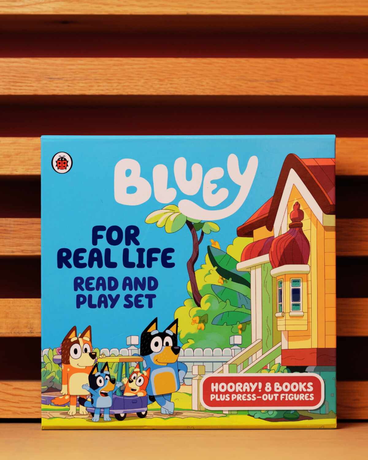 Exclusive Books | Bluey Promo