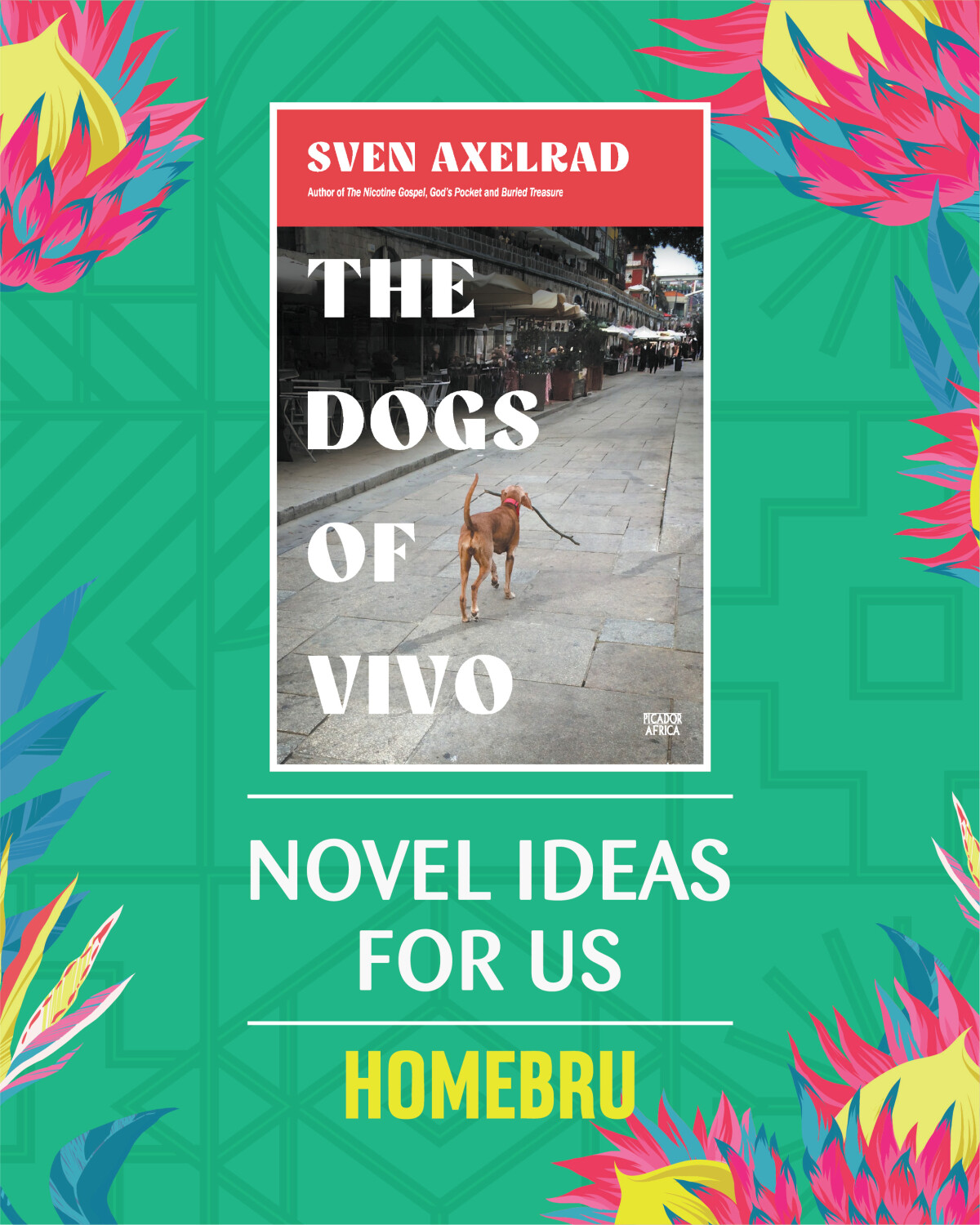 Exclusive Books | Novel Ideas for Us – Fiction