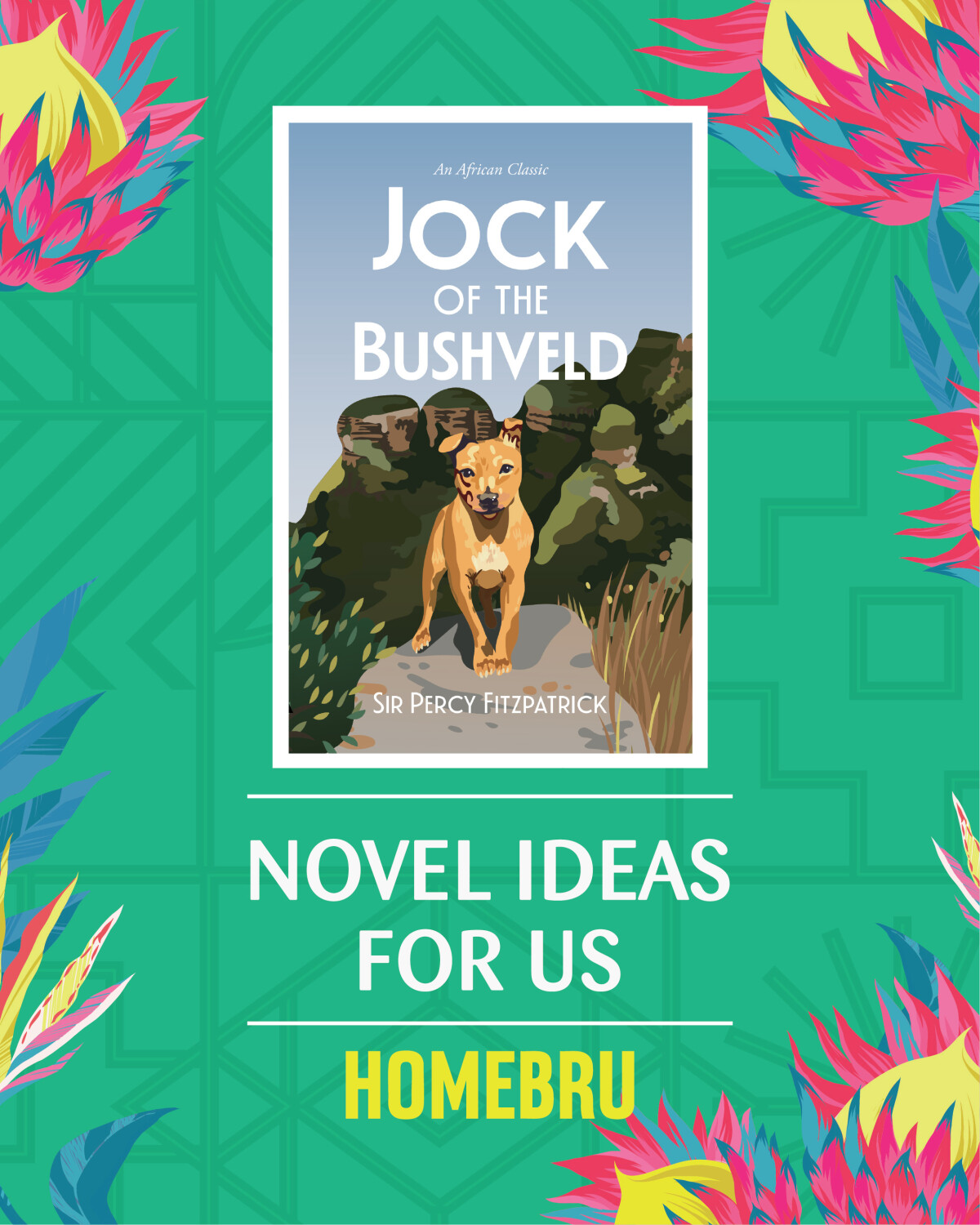 Exclusive Books | Novel Ideas for Us – Fiction