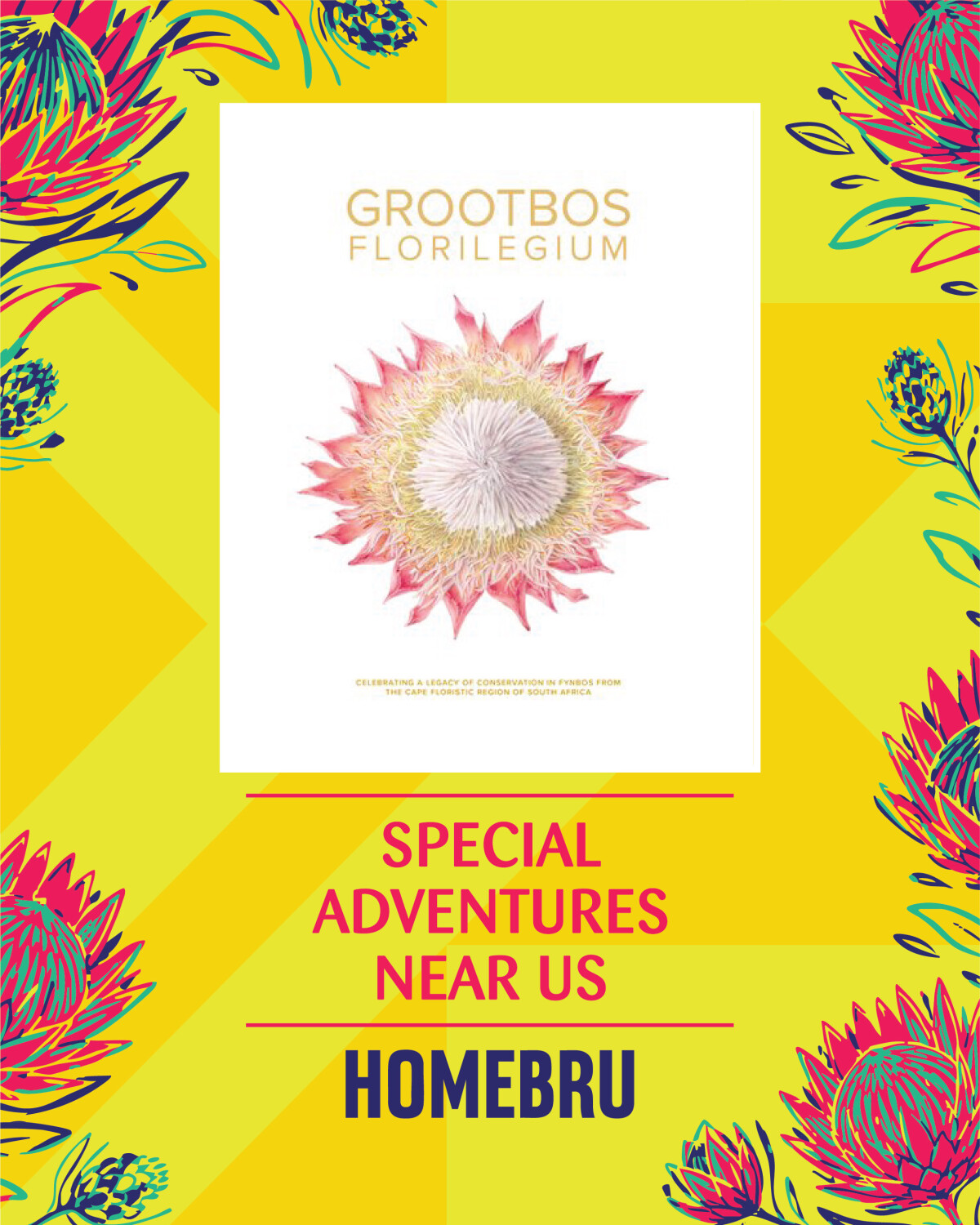 Exclusive Books | Our Country Around Us – Nature, Wildlife & Travel